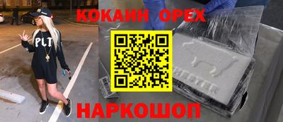 Альфа ПВП Бийск
