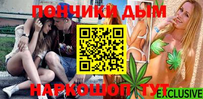 Альфа ПВП Бийск