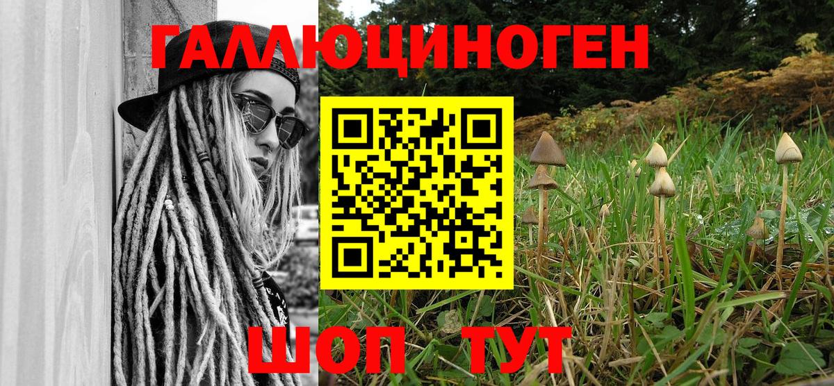 Галлюциногенные грибы мухоморы  Вход с VPN  Камышин 