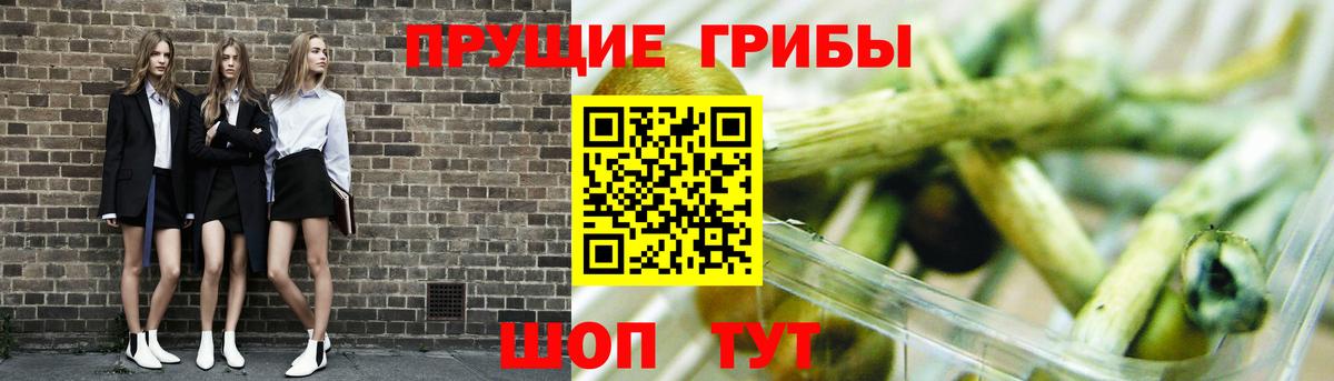 Псилоцибиновые грибы ЛСД Камышин